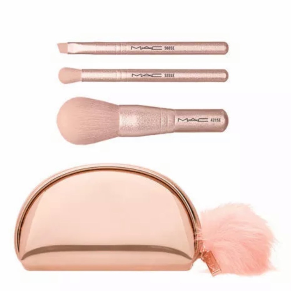 Blush Brush Set